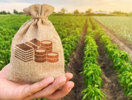 Taxation of income from agricultural land
