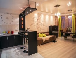 Studio apartment meaning explained: Know everything about it