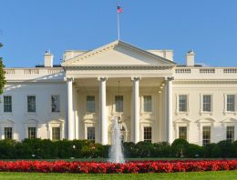 White House Design: All you need to know