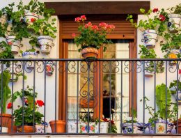 Small balcony garden ideas: Invite greenery and freshness into your apartment with a beautiful balcony garden