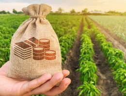 Agricultural income: Taxation of income from agricultural land